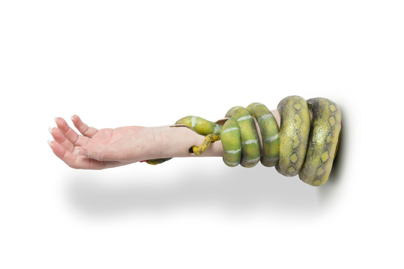 Snake arms and crystal legs: Artificial limbs push boundaries of art